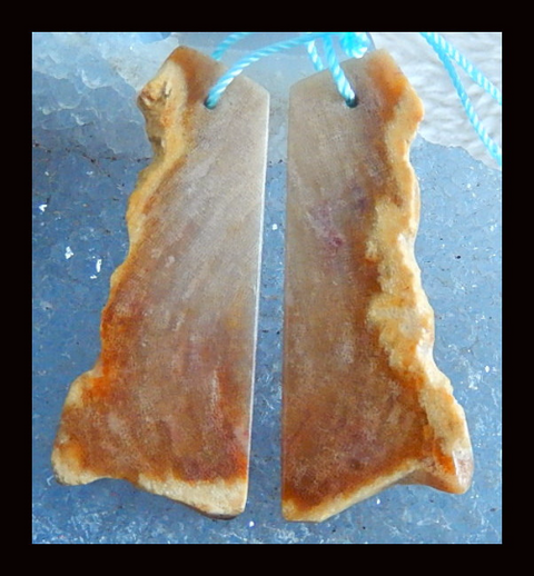Nugget Perle de boucle d'oreille en corail fossile indonésien, 50 x 21 x 3 mm, 7 g