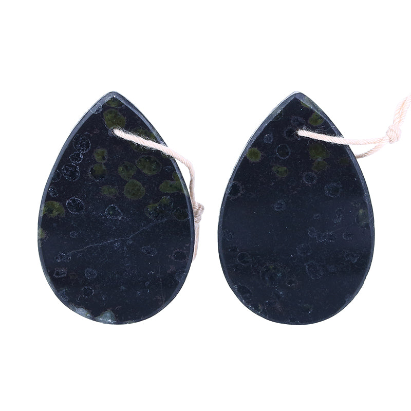 Natural Plant Fossil Waterdrop Drilled Earrings Pair 30x20x3mm,8.7g - MyGemGarden