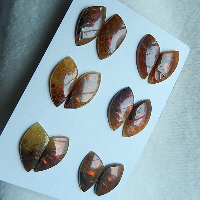 6 Pairs Natural Ammonite Fossil cabochons,14x8x3mm,17x9x3mm 7.75g - MyGemGarden