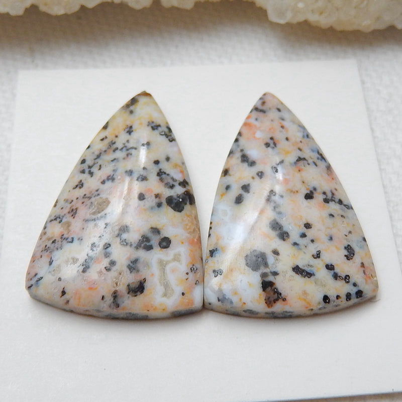 Natural petrified wood Gemstone Cabochon Pair, 25x16x5mm, 5.6g - MyGemGarden