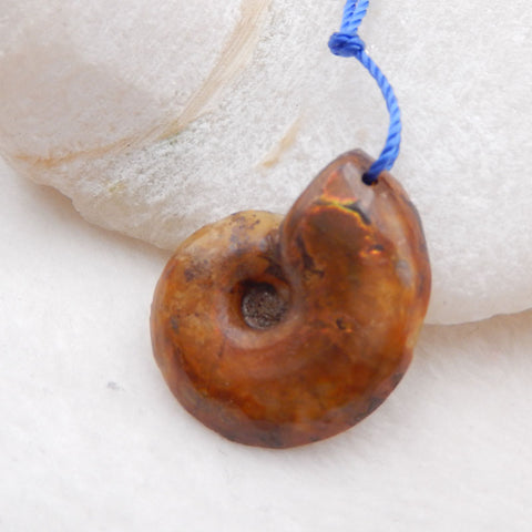 天然菊石化石吊珠,27x23x6mm,4.5g