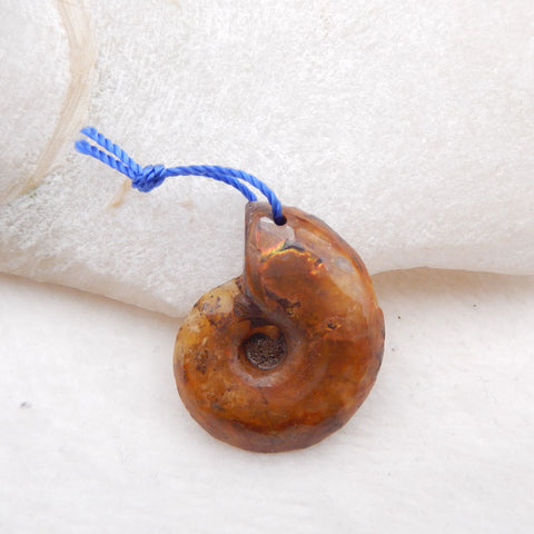 天然菊石化石吊珠,27x23x6mm,4.5g