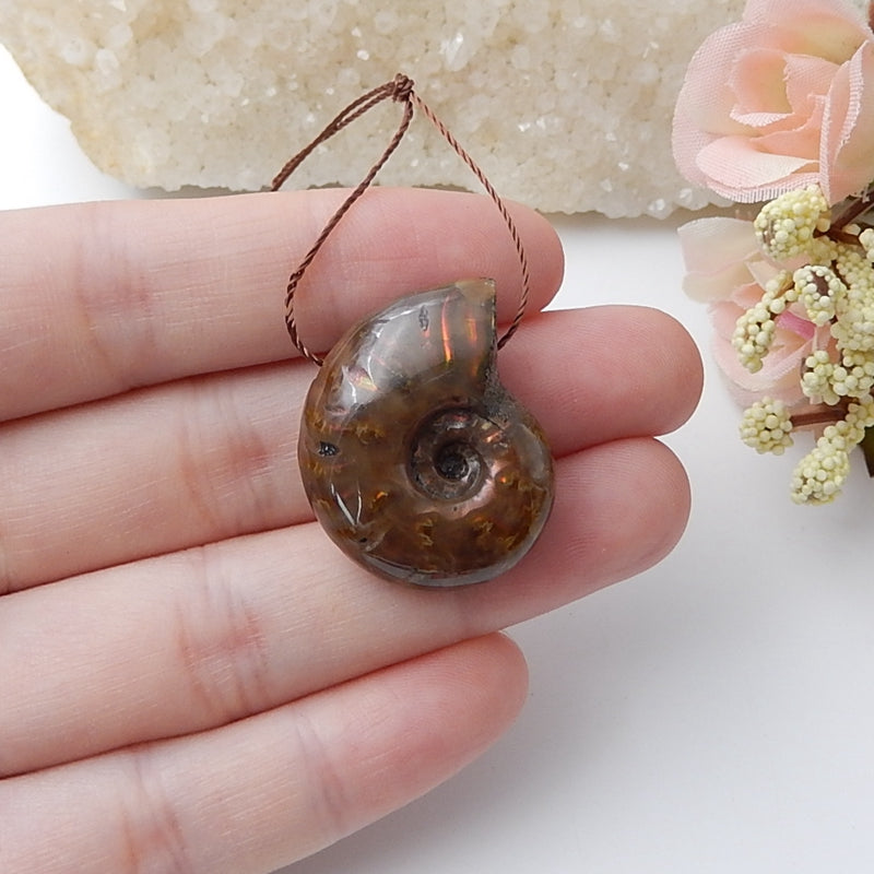 Natural Ammonite Fossil Pendant Bead, 26x22x10mm, 7.7g - MyGemGarden