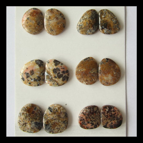 6 Pairs Petrified Wood Cabochon 16x15x4mm,20x17x4mm,20g - MyGemGarden