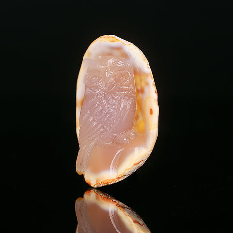 Red Agate Carved Owl Cabochon, 67x48x19mm, 61.1g - MyGemGarden