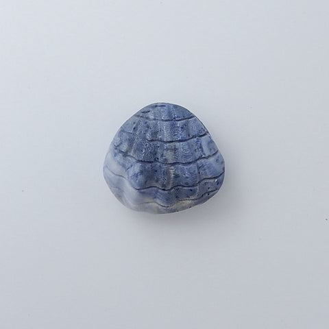Blue Coral Carved Shell Gemstone Cabochon, 25x27x15mm, 12g - MyGemGarden