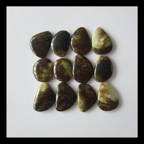 12 PCS Serpentine Cabochon 22x17x4mm,19x15x4mm,29.9g - MyGemGarden