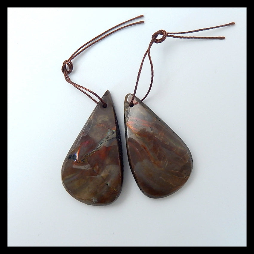 Natural Ammonite Fossil Earrings Pair 35x19x6mm,33x19x6mm,9.8g - MyGemGarden