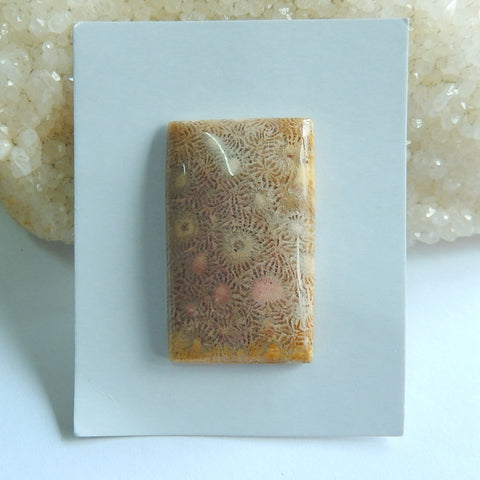 Natural Indonesian Fossil Coral Rectangle Gemstone Cabochon, 38x23x5mm, 10.65g - MyGemGarden