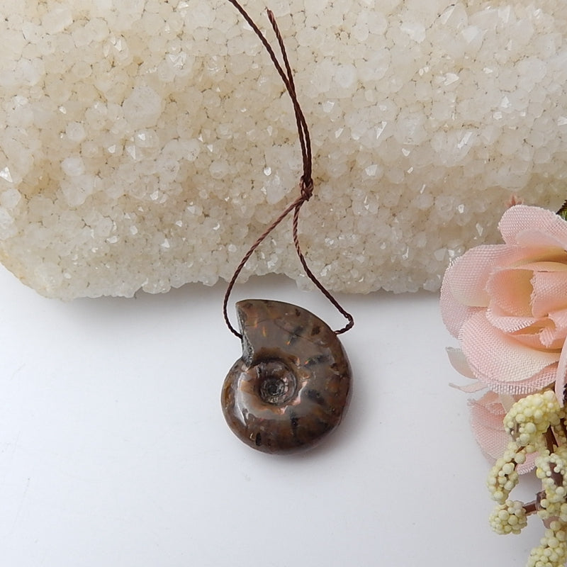 Natural Ammonite Fossil Pendant Bead, 26x22x10mm, 7.7g - MyGemGarden