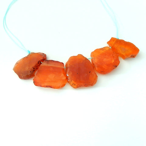 5 pcs Red Agate Pendant Beads Strands 33x28x6mm, 29x18x7mm, 42.9g - MyGemGarden