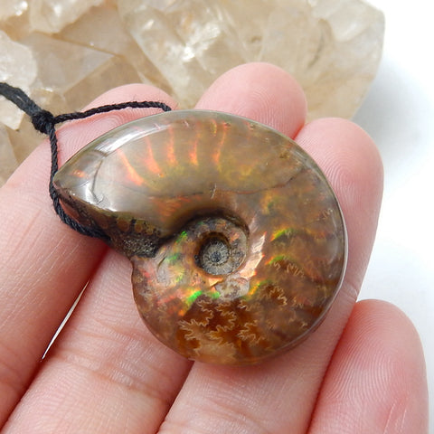 Ammonite Fossil Gemstone Pendant, Natural Stone Jewelry, 31x26x11mm, 12.7g - MyGemGarden