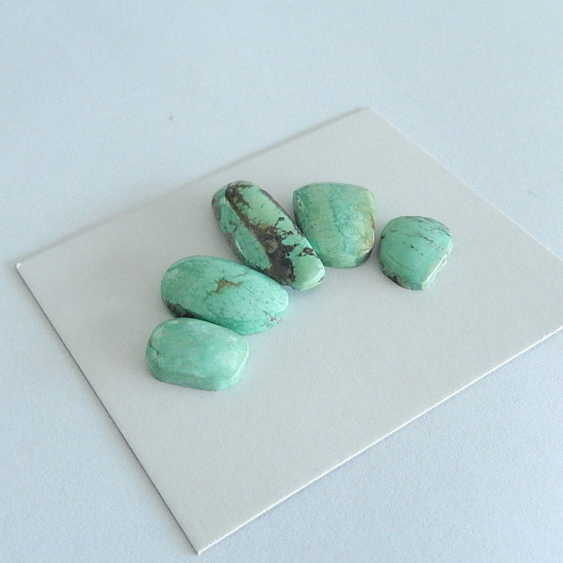 5PCS Freeform Turquoise Cabochon Pairs For Jewelry Making25x9x5mm,13x10x3mm 6.1g - MyGemGarden