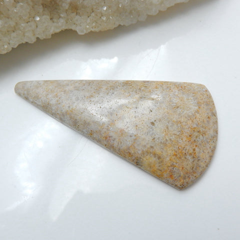 Natural Indonesian Fossil Coral Gemstone Cabochon, 65x34x7mm, 18g - MyGemGarden