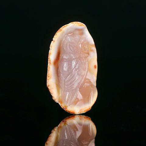 Red Agate Carved Owl Cabochon, 67x48x19mm, 61.1g - MyGemGarden