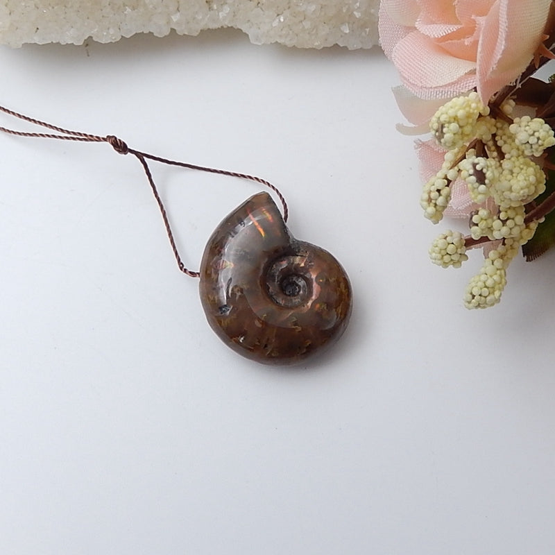 Natural Ammonite Fossil Pendant Bead, 26x22x10mm, 7.7g - MyGemGarden