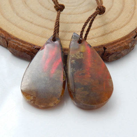 Natural Ammonite Fossil Earrings Pair, stone for Earrings making, 25x13x5mm, 5.3g - MyGemGarden