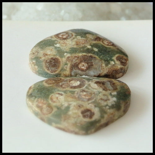 Natural Mushroom Jasper Gemstone Cabochon Pair 21x15x4mm,4.0g - MyGemGarden