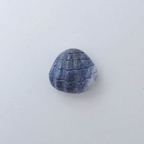Blue Coral Carved Shell Gemstone Cabochon, 25x27x15mm, 12g - MyGemGarden