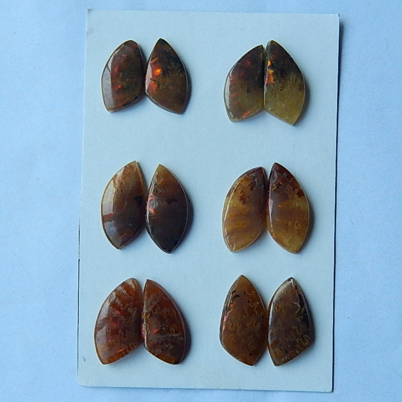 6 Pairs Natural Ammonite Fossil cabochons,14x8x3mm,17x9x3mm 7.75g - MyGemGarden