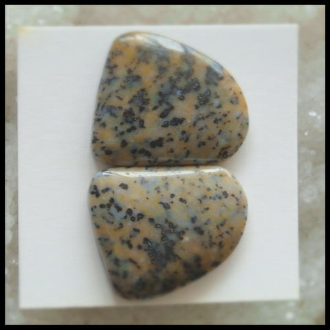 Natural Petrified Wood Gemstone Cabochon Pair, 22x19x5mm, 7.0g - MyGemGarden