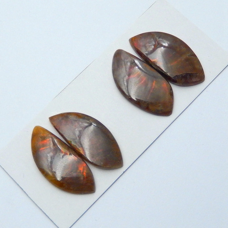 2 Pairs Ammonite Fossil Gemstone Cabochons, 23x10x4mm, 6.1g - MyGemGarden