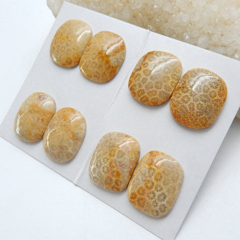 4 Pairs Natural Indonesian Fossil Coral Gemstone Cabochons, 23x19x5mm, 24x16x6mm, 31.3g - MyGemGarden