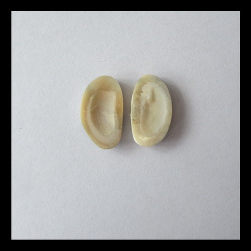 Shell Cabochon Pair 17x10x3mm,1.7g - MyGemGarden