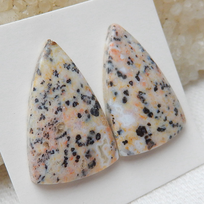 Natural petrified wood Gemstone Cabochon Pair, 25x16x5mm, 5.6g - MyGemGarden