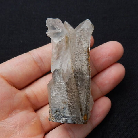 New Arrival ghost quartz hand carved snake Cabochon, Animal Gemstone Decoration, 60x32x22mm, 45.3g - MyGemGarden