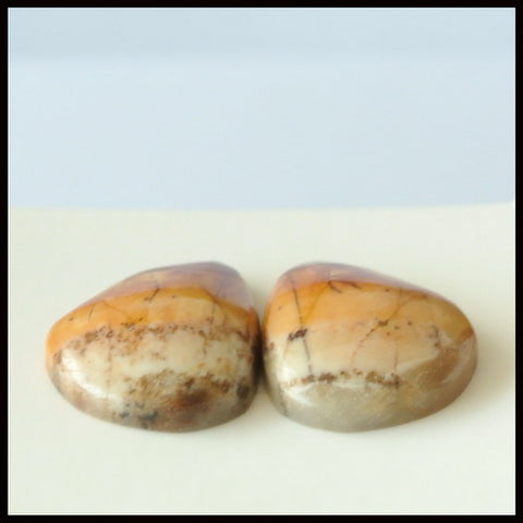 Natural Multi-Color Picasso Jasper Gemstone Cabochon Pair 20x15x5mm,4.5g - MyGemGarden