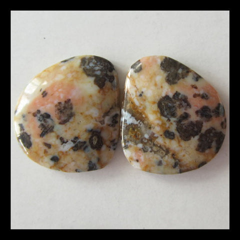 6 Pairs Petrified Wood Cabochon 16x15x4mm,20x17x4mm,20g - MyGemGarden