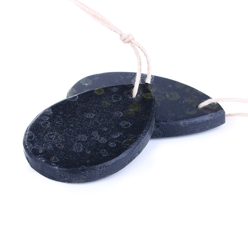 Natural Plant Fossil Waterdrop Drilled Earrings Pair 30x20x3mm,8.7g - MyGemGarden
