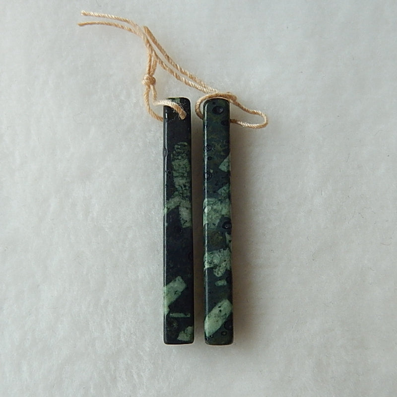 Natural Plant Fossil Drilled Earrings Pair41x5mm,5.5g - MyGemGarden