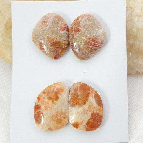Sale 2 Pairs Indonesian Fossil Coral Gemstone Cabochons, 22x17x6mm, 22x15.5x6mm, 12.3g - MyGemGarden
