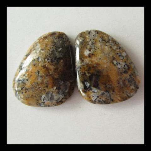 6 Pairs Petrified Wood Cabochon 16x15x4mm,20x17x4mm,20g - MyGemGarden