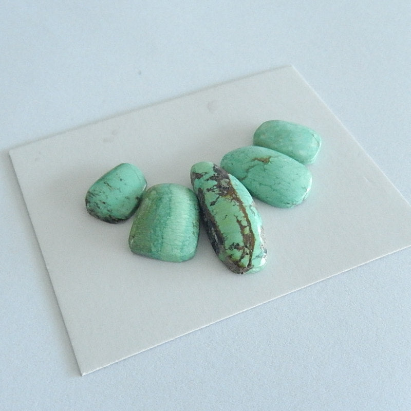 5PCS Freeform Turquoise Cabochon Pairs For Jewelry Making25x9x5mm,13x10x3mm 6.1g - MyGemGarden