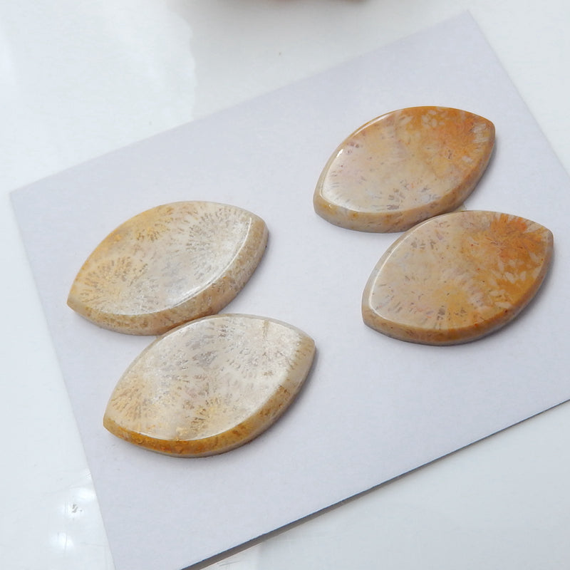 2 Pairs Natural Indonesian Fossil Coral Marquise Gemstone Cabochons, 25x16x3mm, 11.8g - MyGemGarden