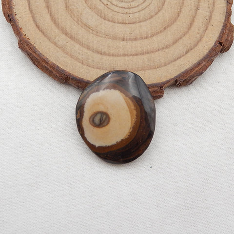 Cabochon de pierres précieuses de jaspe Natural Us Biggs, 24x21x4mm, 4g