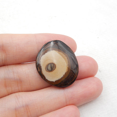 Cabochon de pierres précieuses de jaspe Natural Us Biggs, 24x21x4mm, 4g
