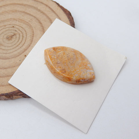 Natural Indonesian Coral Cabochon 26X16X4mm, 3.5g