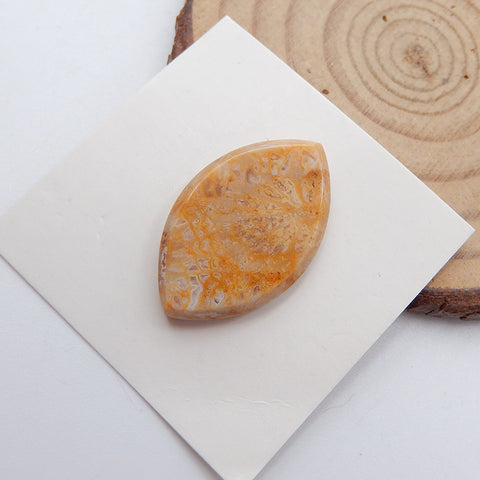 Cabochon de pierre précieuse ovale de corail fossile indonésien naturel, 26X16X4mm, 3.5g