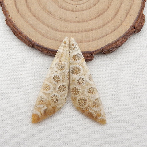 Paire de boucles d'oreilles en corail fossile indonésien naturel, pierre pour la fabrication de boucles d'oreilles, 35x13x4mm, 4.6g