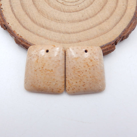 天然椰子化石宝石耳环一对,19x16x4mm,4.7g