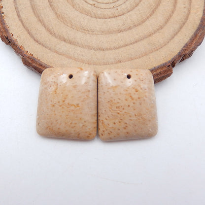 Natural Coconut Fossil Earring Beads 19x16x4mm, 4.7g
