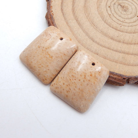 天然椰子化石宝石耳环一对,19x16x4mm,4.7g