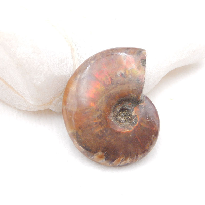 Natural Ammonite Fossil Bead 46X36X13mm, 30.8g