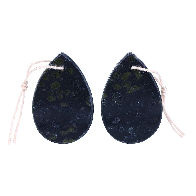 Natural Plant Fossil Waterdrop Drilled Earrings Pair 30x20x3mm,8.7g - MyGemGarden