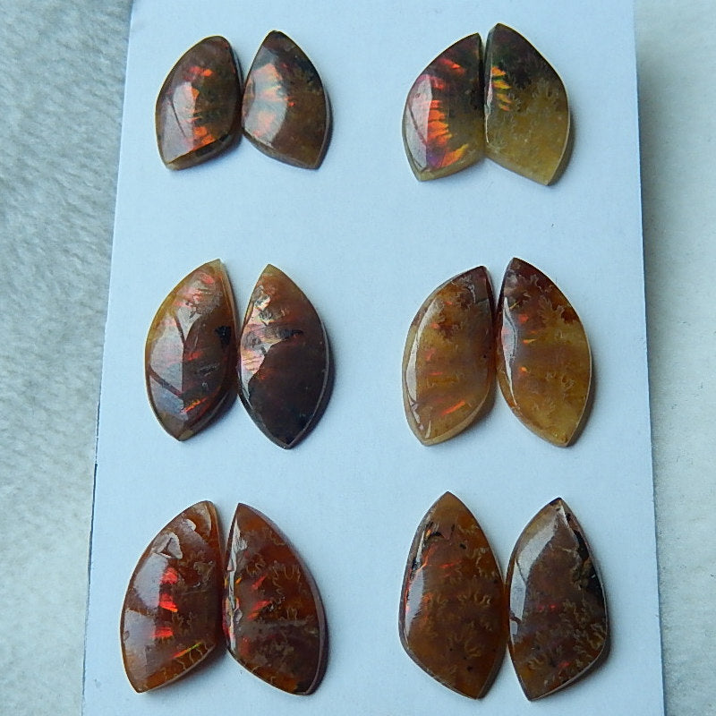 6 Pairs Natural Ammonite Fossil cabochons,14x8x3mm,17x9x3mm 7.75g - MyGemGarden