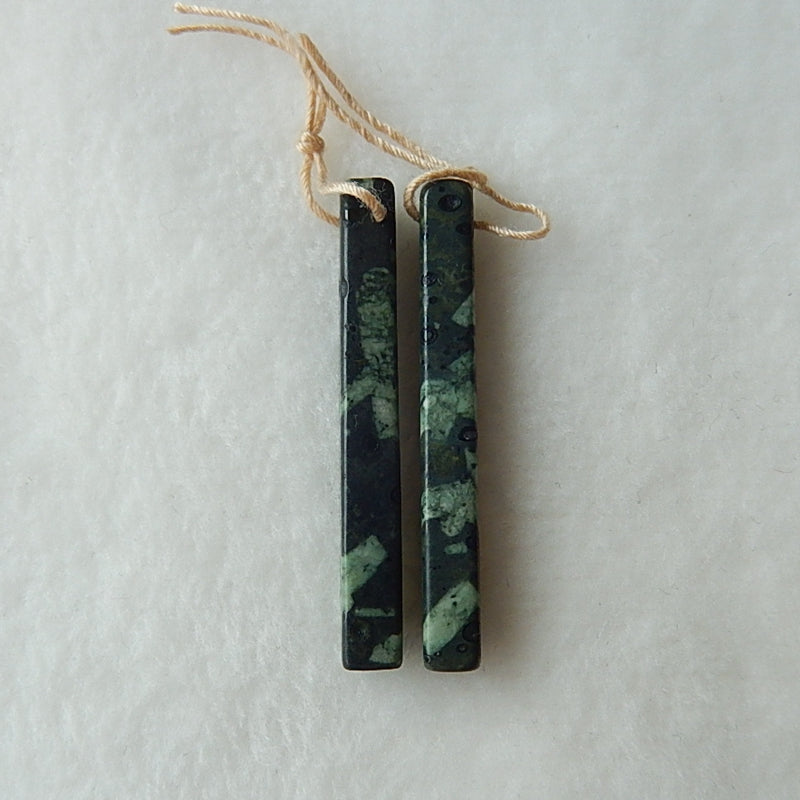 Natural Plant Fossil Drilled Earrings Pair41x5mm,5.5g - MyGemGarden